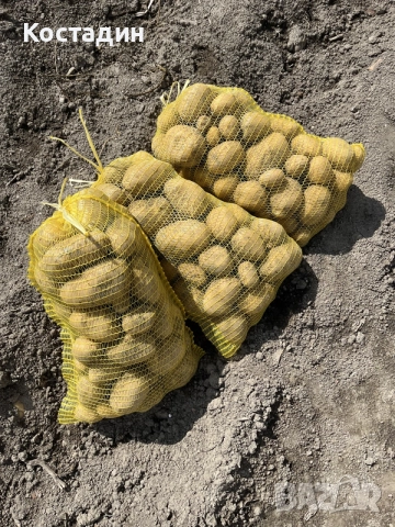 Домашни Картофи Сорая  