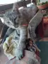 Сив Таби котарак търси дом, снимка 4