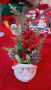Коледна декорация Classic в кашпа Santa, снимка 1