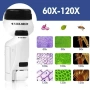 Детски преносим микроскоп с LED светлина, 60x-120x увеличение и стойка за смартфон, снимка 4