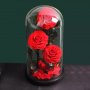 3 броя Луксозна вечна роза в стъкленица Beauty Roses, Червен