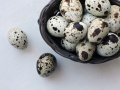 Яйца от пъдпъдъци оплодени/пъдпъдъчи яйца/пъдпъдъци носачки , клетки за пътпъдъци и люпене, снимка 1