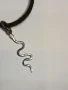 Сребърен медальон змия ръчна изработка , снимка 3