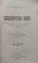 Неоснователна война Василъ Цаневъ Гужгуловъ /1901/, снимка 2
