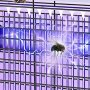 Нова Преносима Лампа срещу Комари и Мухи - 3200v Убиец насекоми, снимка 3