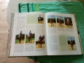 The complete Horse Rider - Книга Всичко за ездача, снимка 5