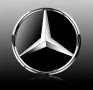 Стъклена емблема лого Mercedes Distronic W205 W204 W213 W253 18.5 cm, снимка 2