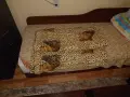 Олекотена завивка, снимка 1
