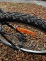 Cross велосипед, снимка 3
