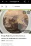 Порцеланова чиния * Villeroy & Boch *, снимка 3