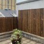 100 броя редки бамбукови семена зелен бамбук Moso-Bamboo мосо бамбо растение за декорация украса за , снимка 7