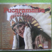 Индианскa музика CD, снимка 4 - CD дискове - 42870657