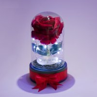Вечна Роза в Стъкленица с Лампички / LED светлини / Подарък за Рожден Ден - Светеща Вечна Роза, снимка 5 - Подаръци за жени - 42689991