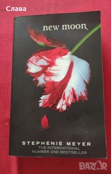 New Moon, книга , снимка 1