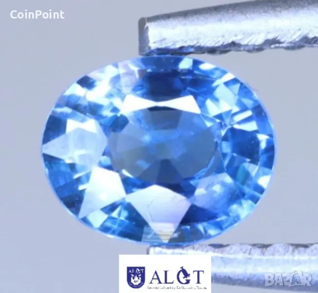 Син Сапфир с белгийски сертификат, снимка 1