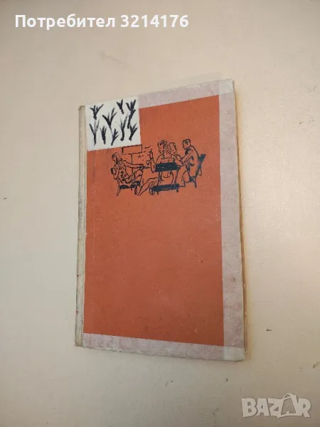 Спасителят в ръжта - Джеръм Селинджър, снимка 1