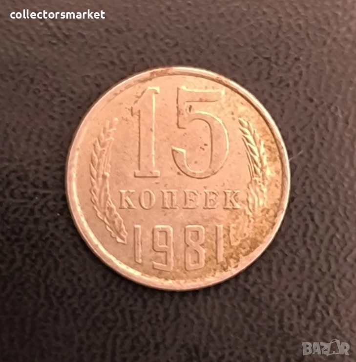 15 копейки 1981, СССР, снимка 1