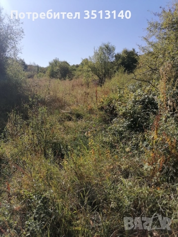 Парцел с. Панчарево, София, снимка 5 - Парцели - 51669556