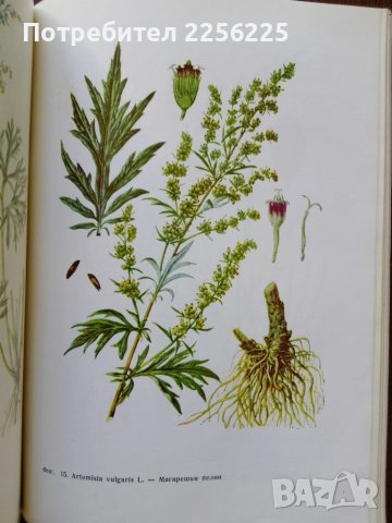 Фитотерапия , снимка 9 - Специализирана литература - 50501664