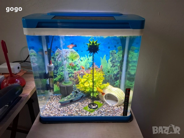 Аквариуми 4 броя, снимка 7 - Аквариуми - 54361578