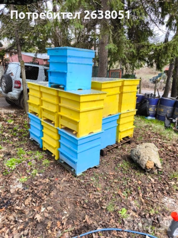 Продавам 12 рамкови чисто нови боядисани кошери с магазин