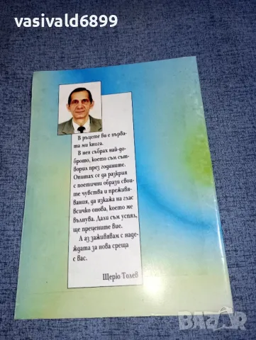 Щерю Толев - Вик , снимка 3 - Българска литература - 47380403