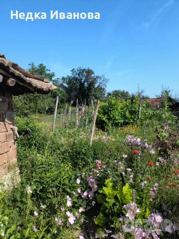 Продава къща , снимка 8 - Къщи - 50574899