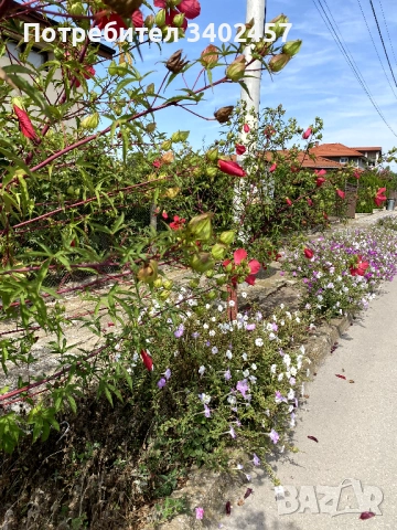 ПАРЦЕЛ 610 м² в регулация, ток и вода на улицата, 5 км от плажа, снимка 5 - Парцели - 51858391