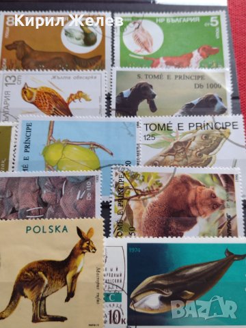Пощенски марки смесени от цял свят ЖИВОТНИ за КОЛЕКЦИЯ 22615, снимка 13 - Филателия - 40344342