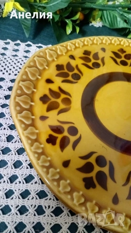 Тортиера прекрасна, снимка 2 - Чинии - 53893836