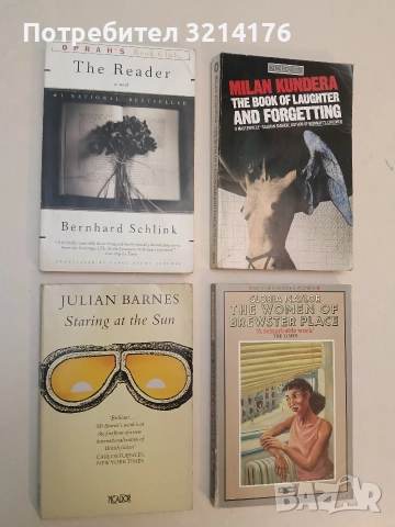 Staring at the sun - Julian Barnes 