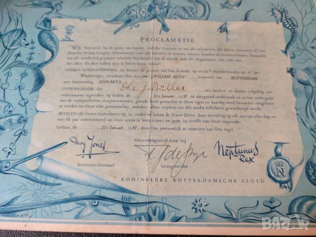 Старинно ножче Холандия на кораба  ms Willem Ruys solingen и документ минаване екватора, снимка 6 - Антикварни и старинни предмети - 36211890