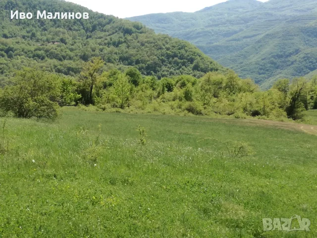 продавам два имота в село Лакатник , снимка 17 - Земеделска земя - 55769447