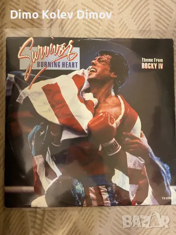 Rocky Soundtrack Vinyl 12 “ Sylvester Stallone