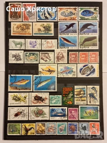 Пощенски марки тема ”Животни”., снимка 8 - Филателия - 52699226