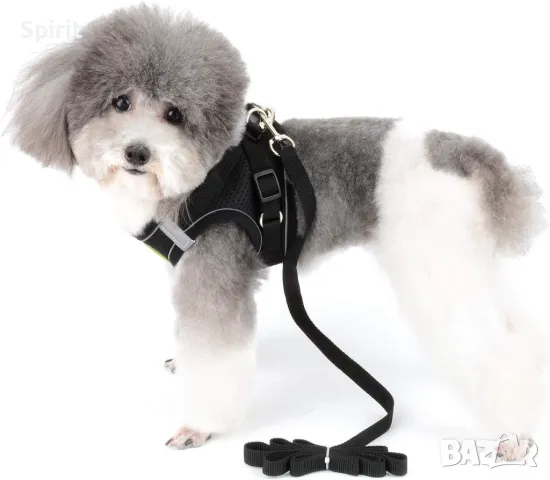 Комплект за мини и дребни породи кучета , снимка 7 - За кучета - 47808967