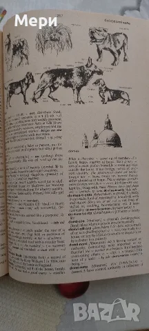 Речник на съвременния английски език за напреднали Oxford, снимка 6 - Чуждоезиково обучение, речници - 55787690