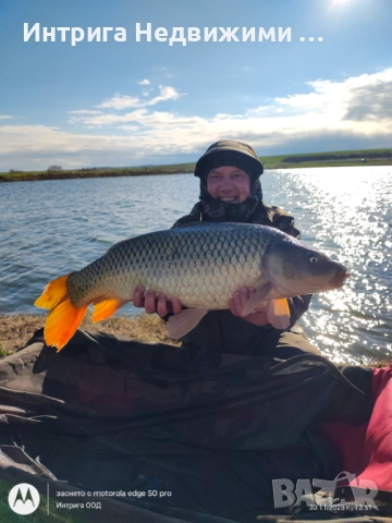 Shimano Tribal TX-4 13ft Intensity, 3.5+ lb, снимка 3 - Въдици - 52815533