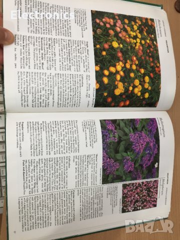 Енциклопедия A-Z of Annuals, Biennials & Bulbs (Successful Gardening), снимка 6 - Енциклопедии, справочници - 30873162