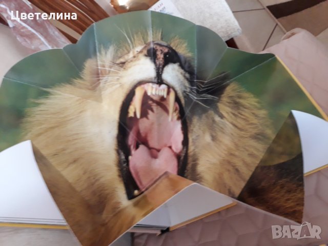 Панорамни книги- детска , снимка 3 - Детски книжки - 31705987