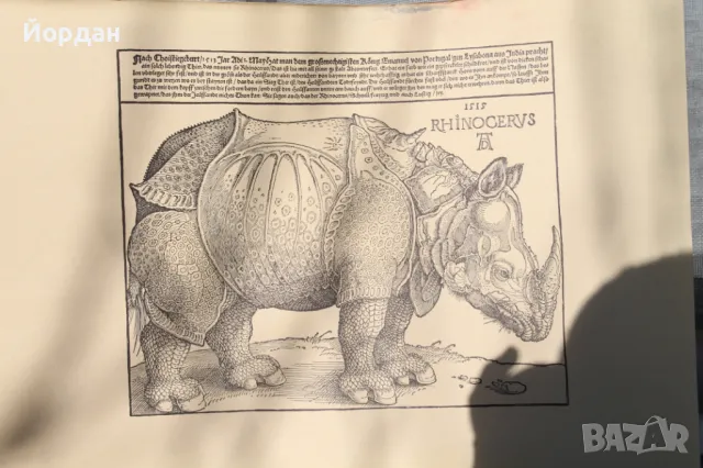 Литография ''Албрехт Дюрер''