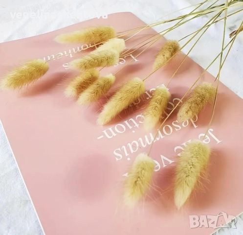 70 стръка заешка опашка декорация на букети ваза изкуствена пампас трева , снимка 3 - Декорация за дома - 52832362