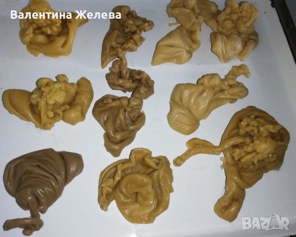 БЕЗПЛАТНО ГЛЕДАНЕ и РИТУАЛНО ВОСЪКОЛЕЕНЕ