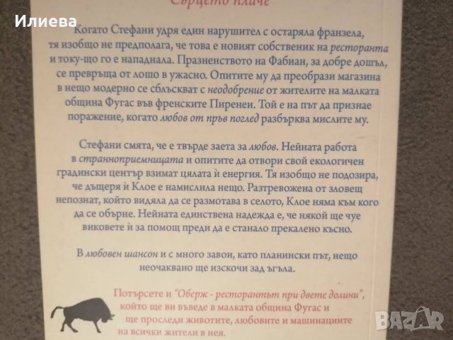 Завръщането на парижанина- Джулия Стаг , снимка 3 - Художествена литература - 35456837