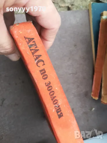 АТЛАС ПО ЗООЛОГИЯ 1974 1002250452, снимка 4 - Специализирана литература - 49049525