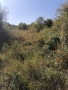 Парцел с. Панчарево, София, снимка 5