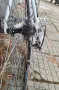Колело Drag Blade, снимка 1