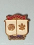 Стара значка от соца с герба на град МИЧУРИН сега ЦАРЕВО за КОЛЕКЦИЯ 51688, снимка 2