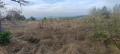 Продавам парцел или давам срещу обезщетение , снимка 2