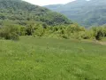 продавам два имота в село Лакатник , снимка 17